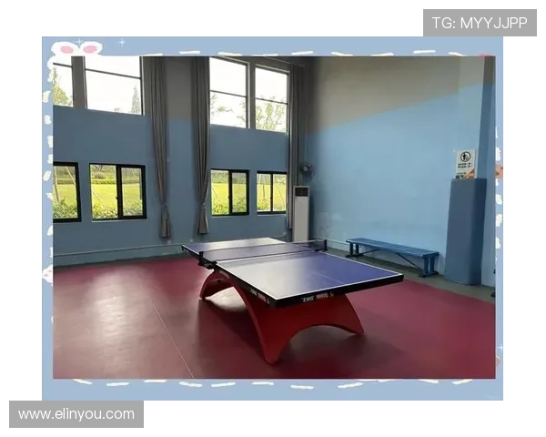 乒乓球新手必看:灵活性训练与技巧提升全攻略 乒乓球新手必看:灵活性训练与技巧提升全攻略