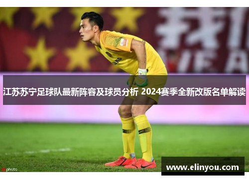 江苏苏宁足球队最新阵容及球员分析 2024赛季全新改版名单解读