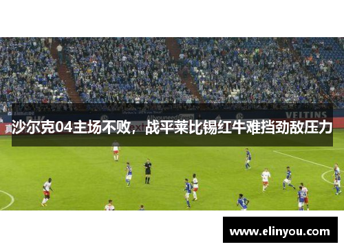 沙尔克04主场不败，战平莱比锡红牛难挡劲敌压力