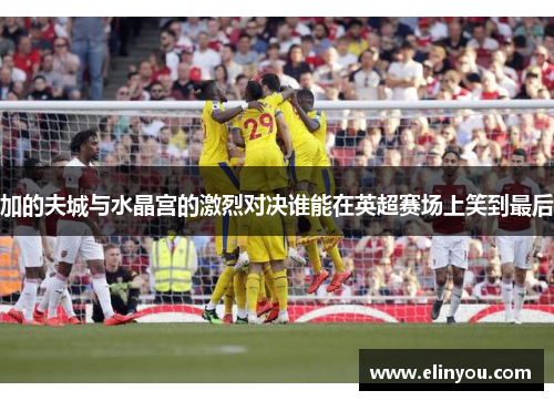 加的夫城与水晶宫的激烈对决谁能在英超赛场上笑到最后